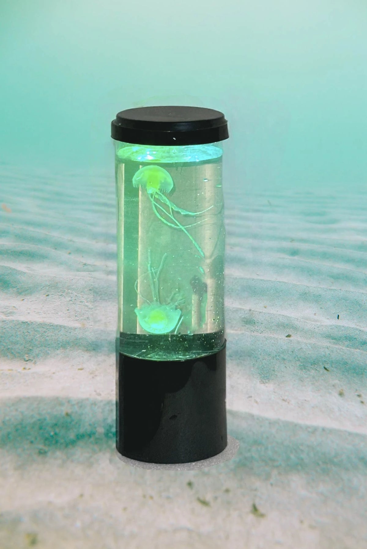 Lámpara Acuario de Medusas